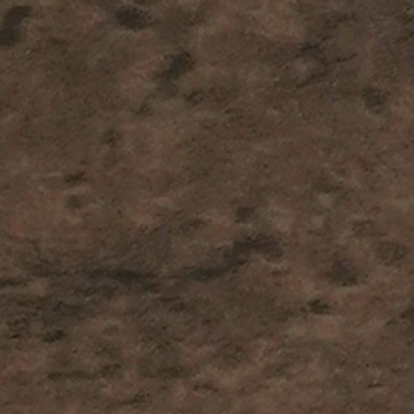 6556DZY YILDIZ ENT PATARA BRONZ – DESENLİ