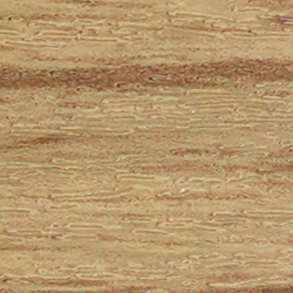 6610MSF SAFİR MEŞE – DESENLİ