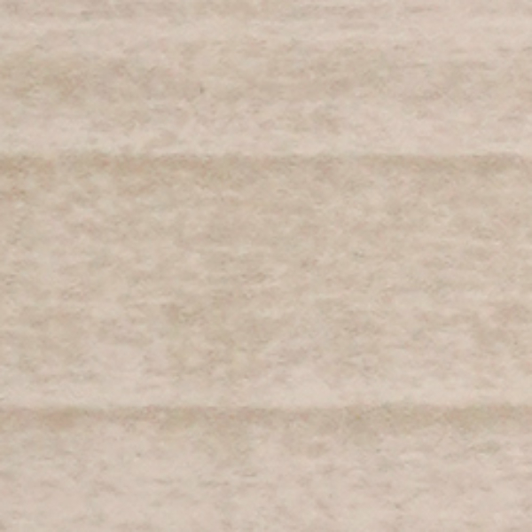 6746DZY BEYAZ HUŞ – DESENLİ