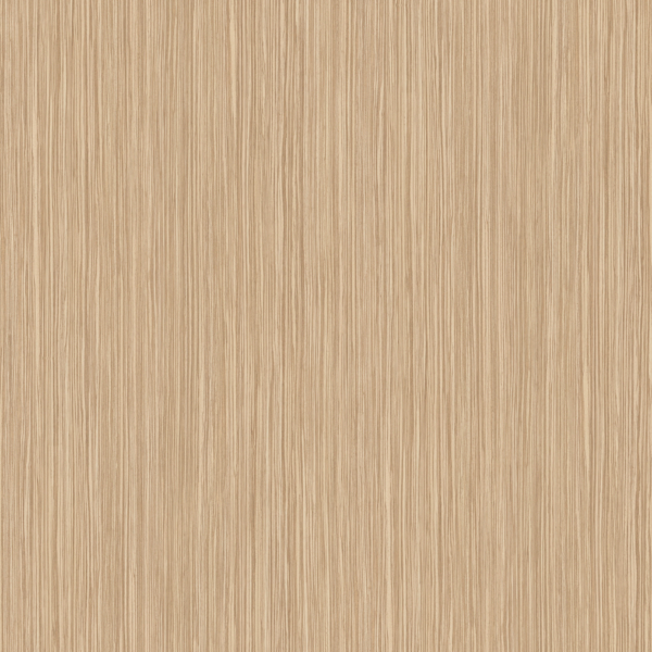 VT_193 AÇIK ZEBRANO