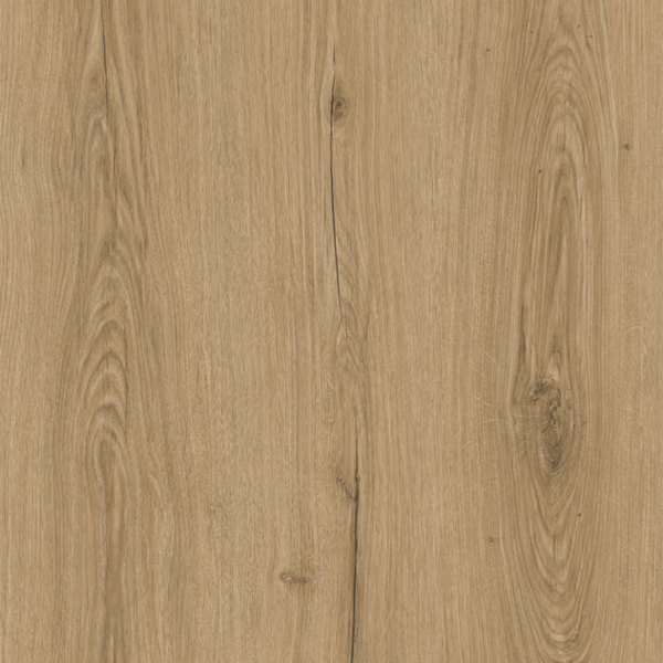 YT_49A OTANTİK MEŞE